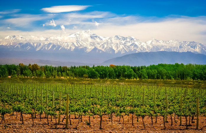 paisaje-mendoza