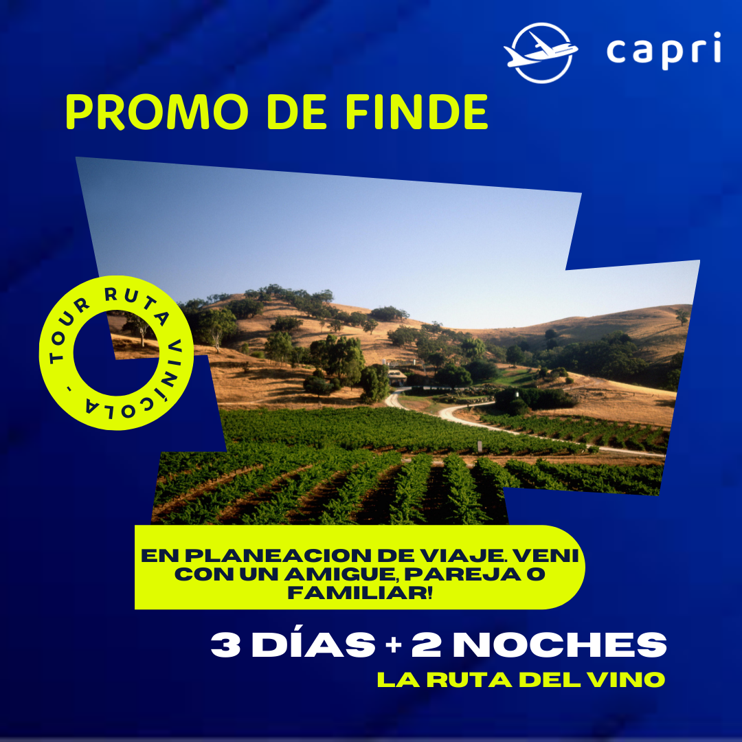 banner-promo-ruta-del-vino-imagen--una vinícola-de-día